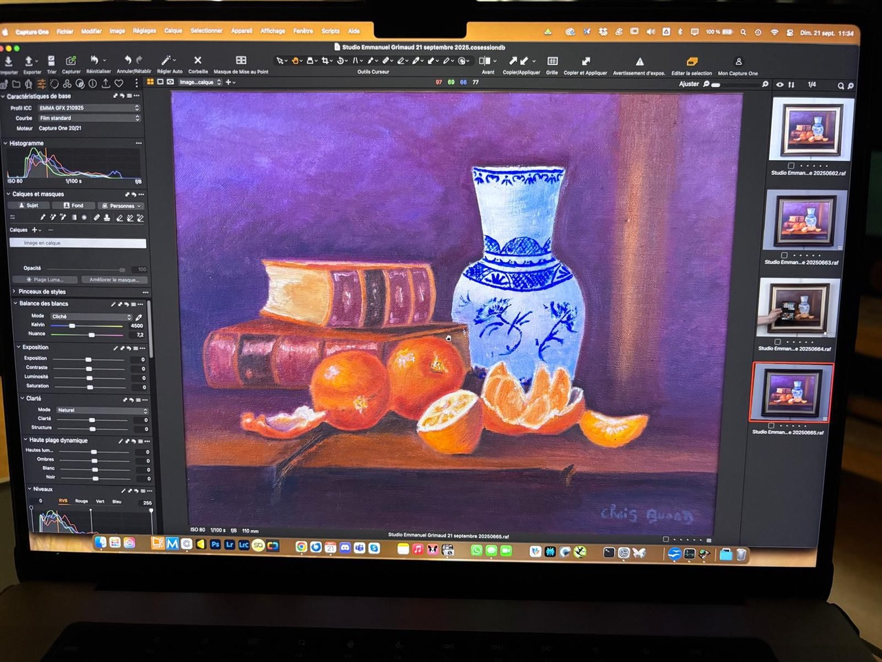 Prise de vue reproduction d'œuvre d'art - 3